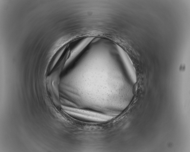 X0000097290242200802291757