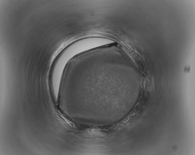 X0000097290244200802291757