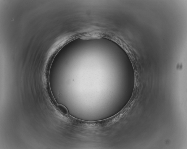 X0000097290245200802291757