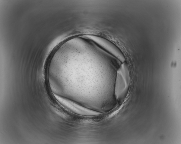 X0000097290246200802291757
