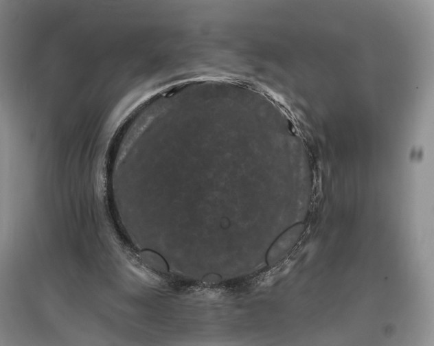 X0000097290247200802291757