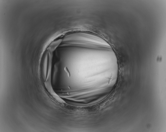 X0000097290248200802291757