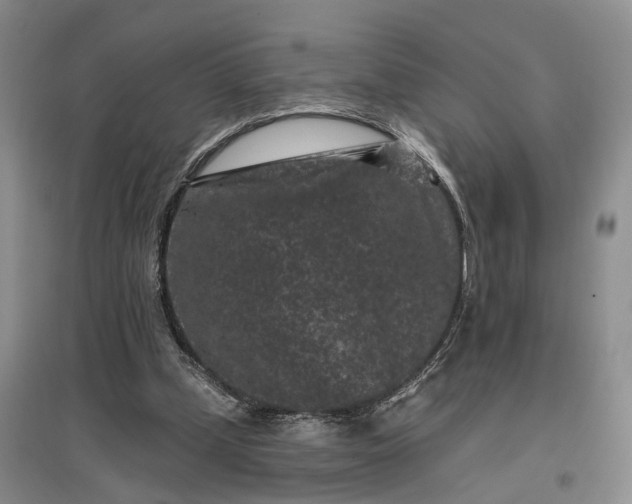X0000097290249200802291757