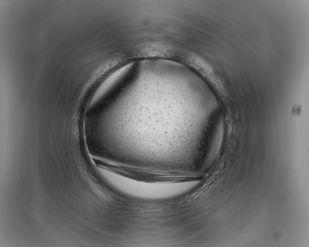 X0000097290250200802291757