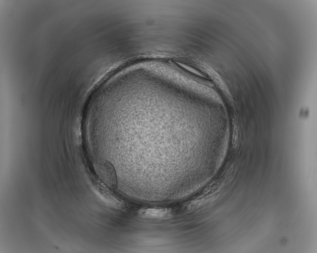 X0000097290251200802291757