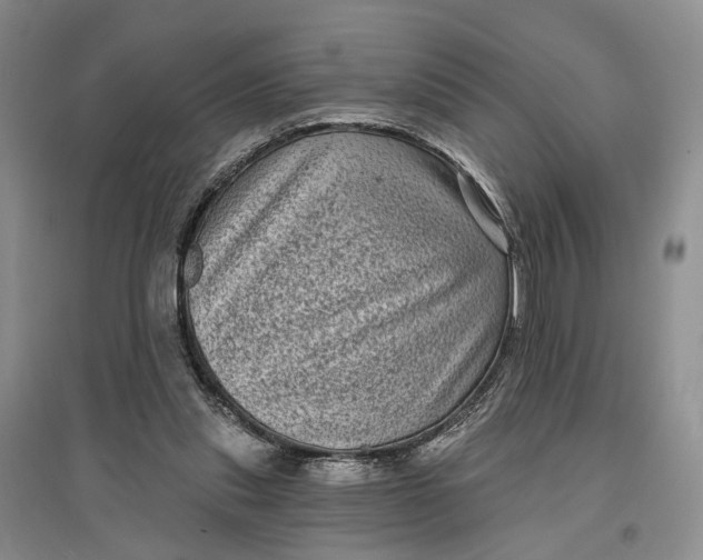 X0000097290253200802291757
