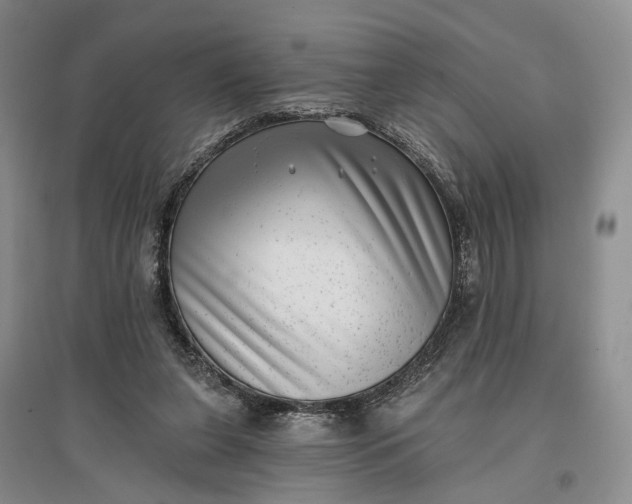 X0000097290255200802291757