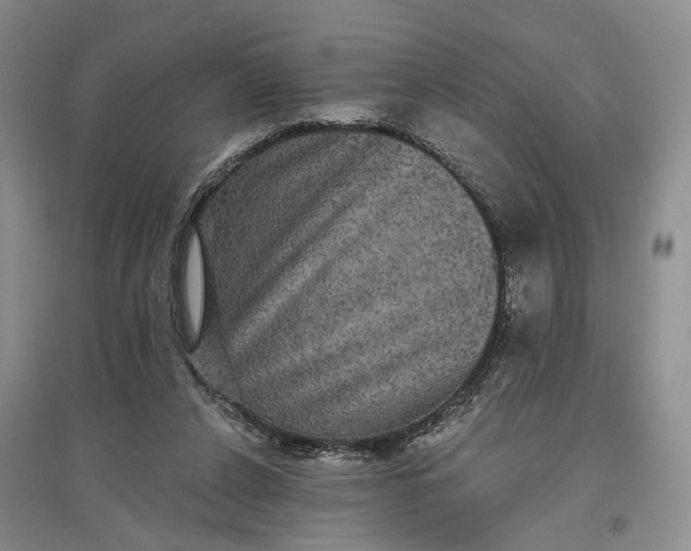X0000097290256200802291757