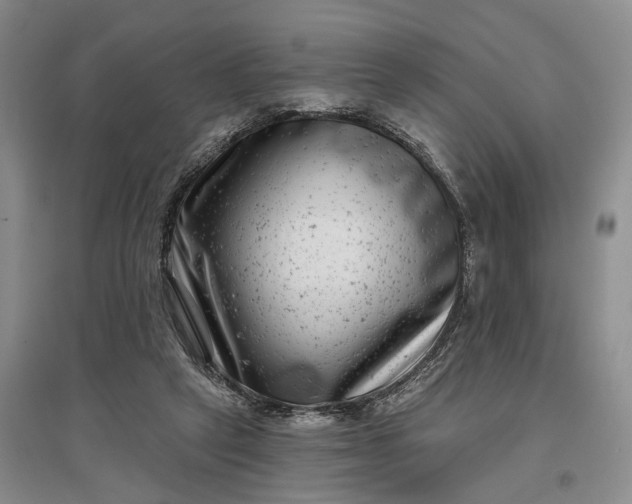 X0000097290257200802291757