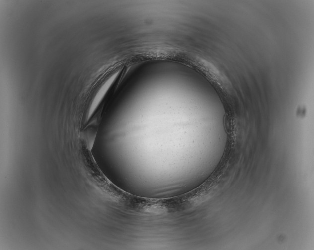 X0000097290258200802291757