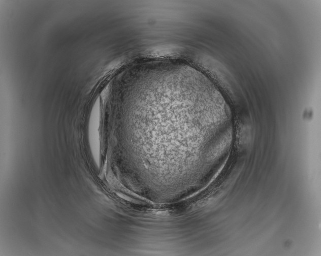 X0000097290260200802291757