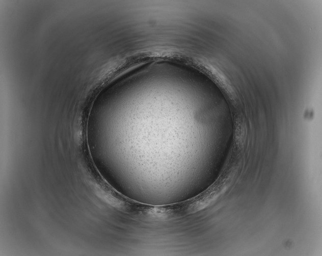 X0000097290261200802291757