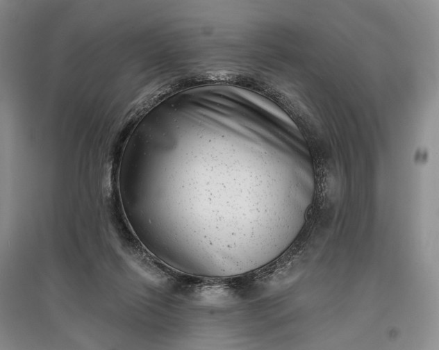 X0000097290262200802291758