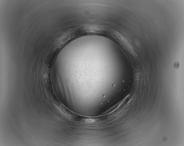X0000097290265200802291758