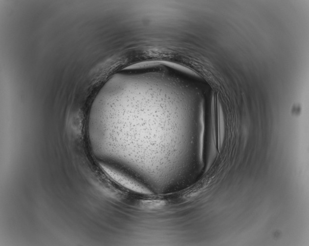 X0000097290266200802291758