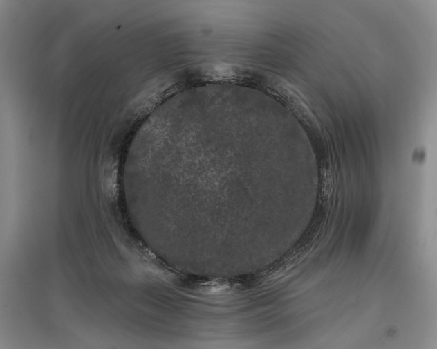 X0000097290267200802291758