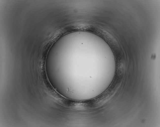 X0000097290268200802291758
