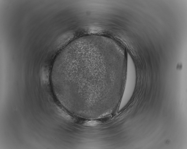 X0000097290269200802291758
