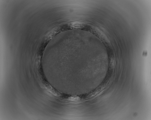 X0000097290271200802291758