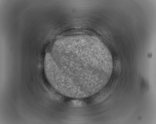 X0000097290272200802291758