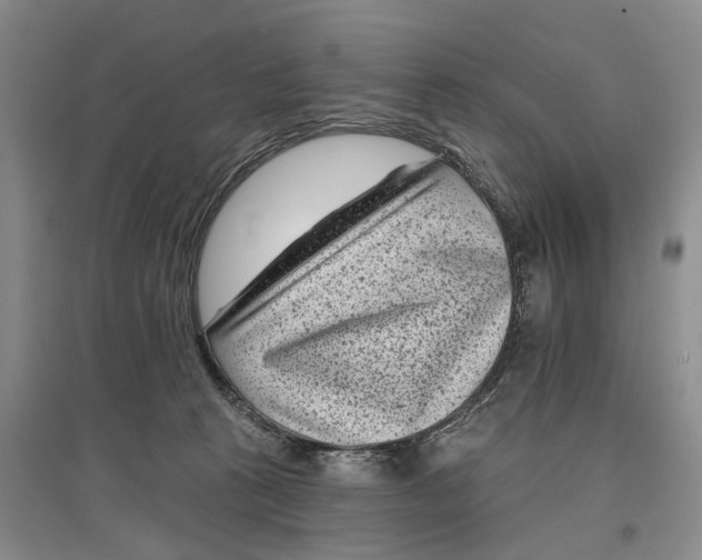 X0000097290273200802291758