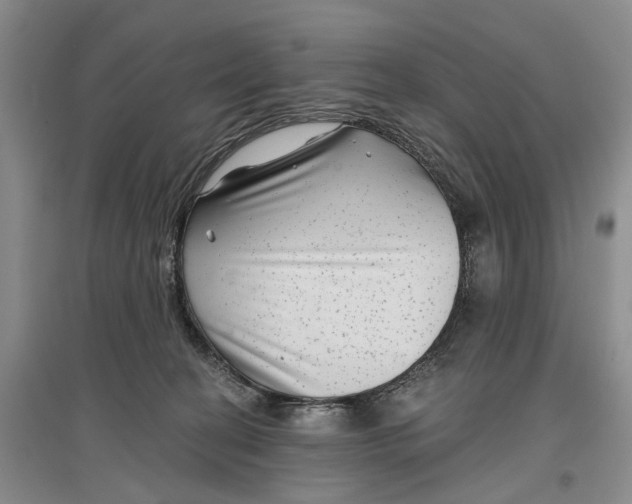 X0000097290274200802291758