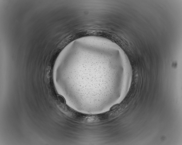 X0000097290275200802291758
