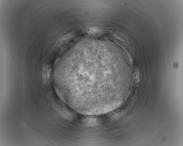 X0000097290276200802291758