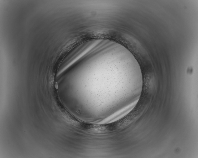 X0000097290278200802291758
