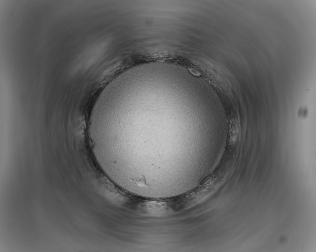 X0000097290279200802291758