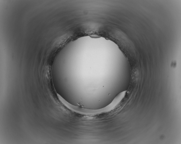X0000097290280200802291758