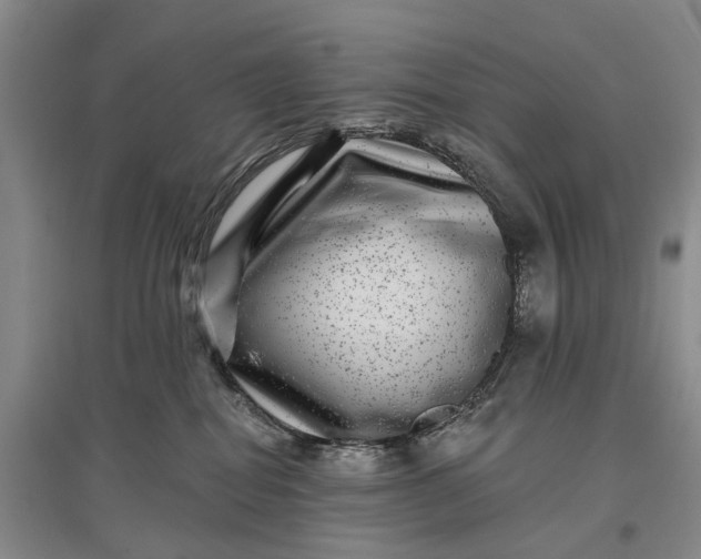 X0000097290282200802291758