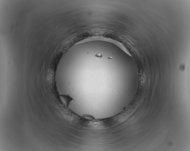 X0000097290283200802291758
