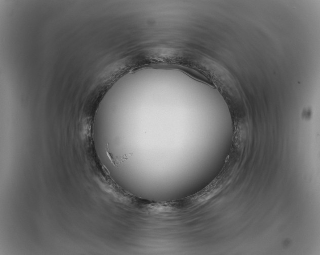 X0000097290284200802291758