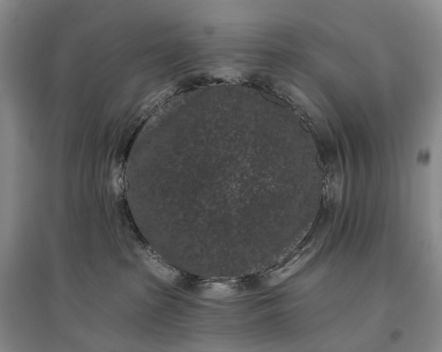 X0000097290285200802291758