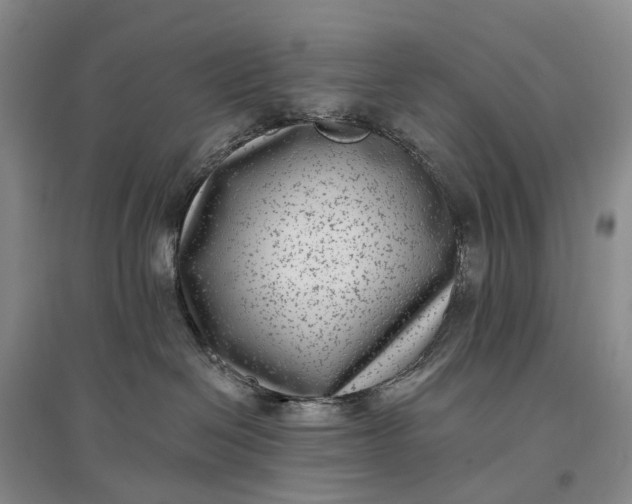X0000097290286200802291758