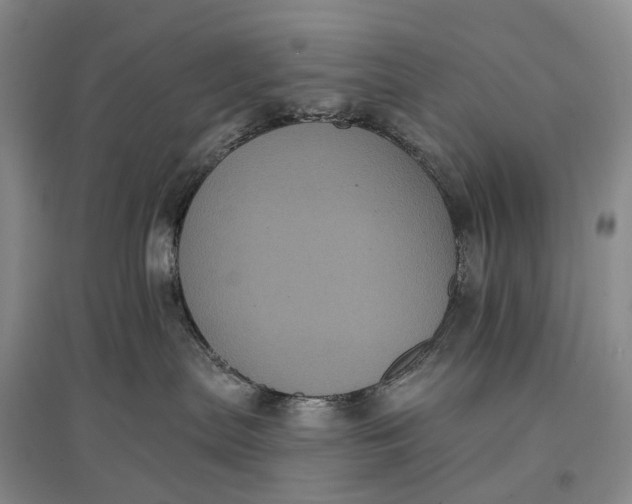 X0000097290287200802291758