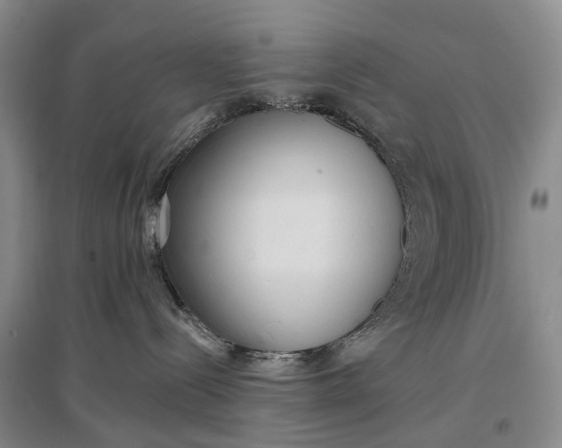 X0000097290288200802291758