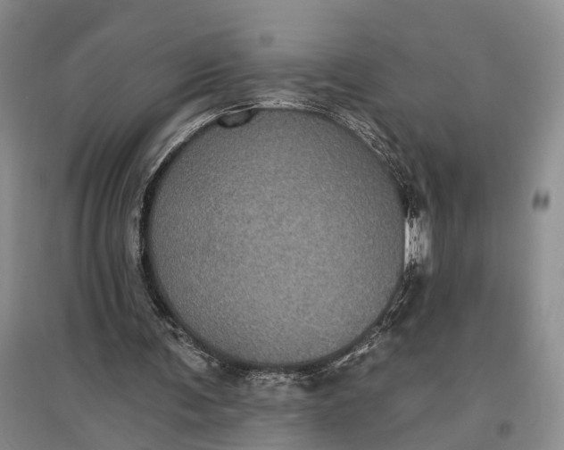 X0000097290291200802291757