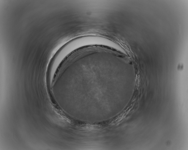 X0000097290292200802291757