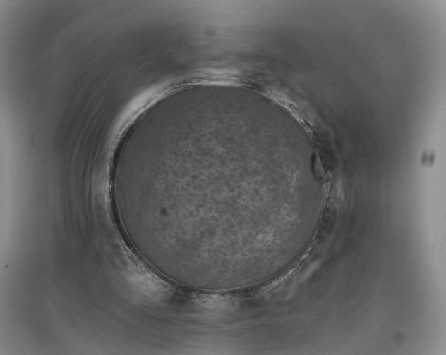 X0000097290293200802291757