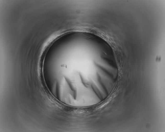 X0000097290294200802291757