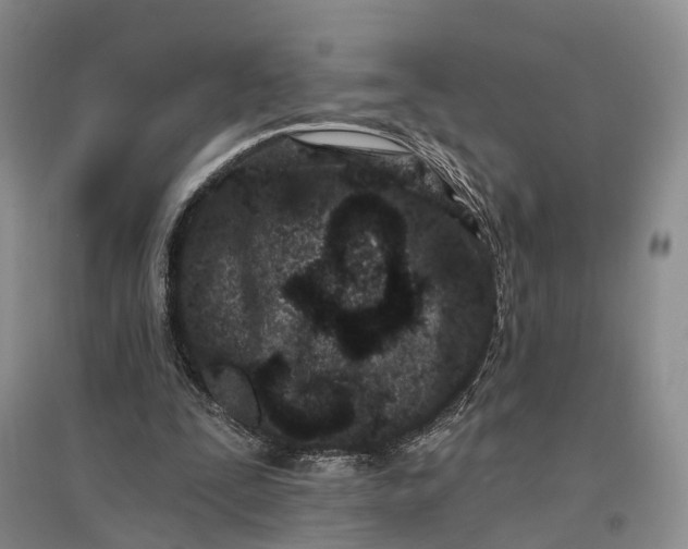 X0000097290295200802291757