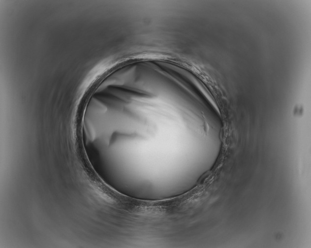 X0000097290296200802291757