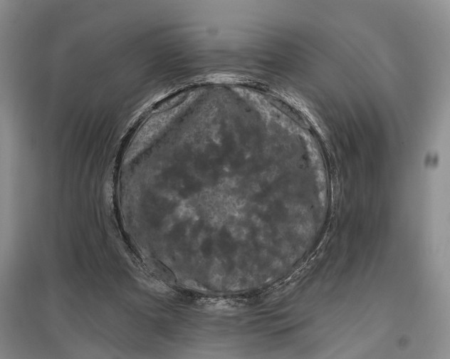 X0000097290297200802291757