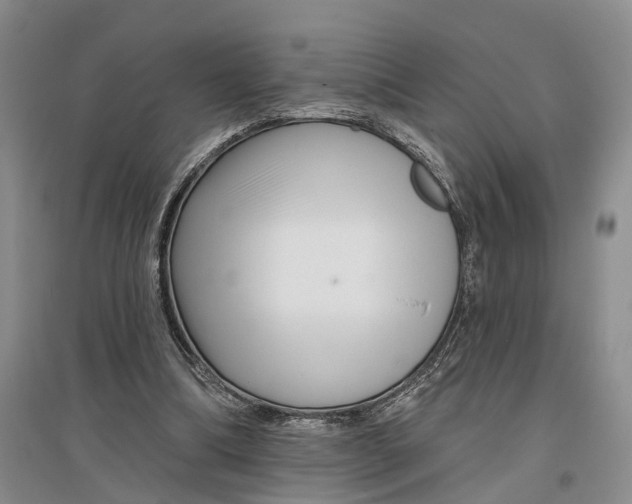 X0000097290298200802291757