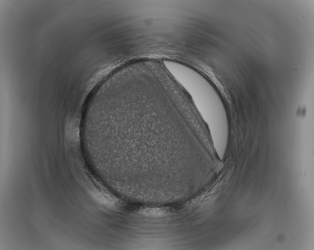 X0000097290299200802291757