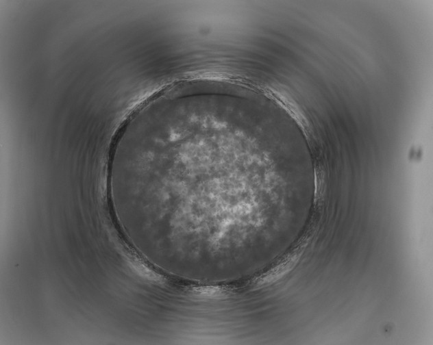 X0000097290301200802291757