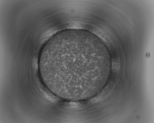 X0000097290302200802291757