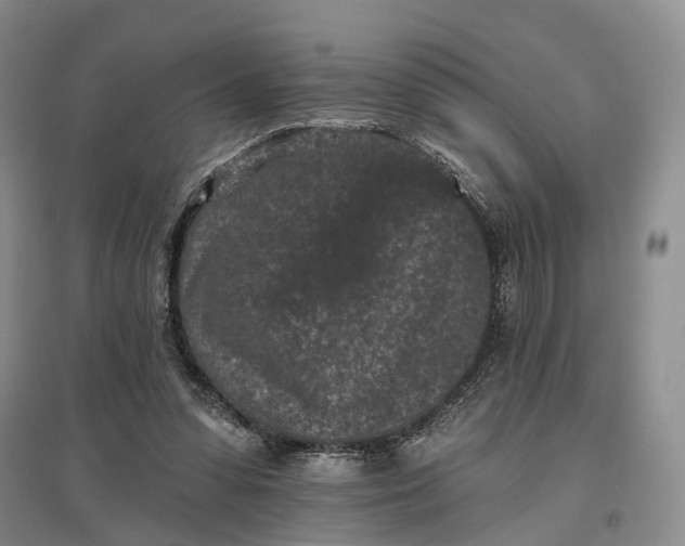 X0000097290303200802291757
